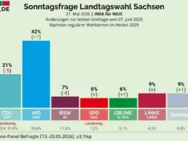 Sachsen: AfD 20 Prozent vor CDU und kurz vor absoluter Mehrheit