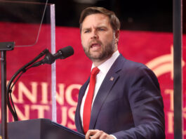 J.D. Vance über Henry Nowak: Die Anklage, die Europa erschüttert