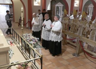 Nach einem Jahr Leo XIV.: Warum die Tradition nicht länger auf Rom wartet