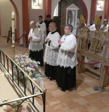 Nach einem Jahr Leo XIV.: Warum die Tradition nicht länger auf Rom wartet
