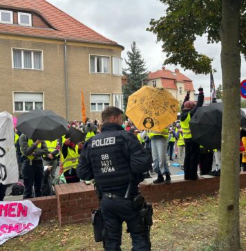AfD-Parteitag verhindern? Grüner erhebt schwere Vorwürfe gegen die eigene Partei