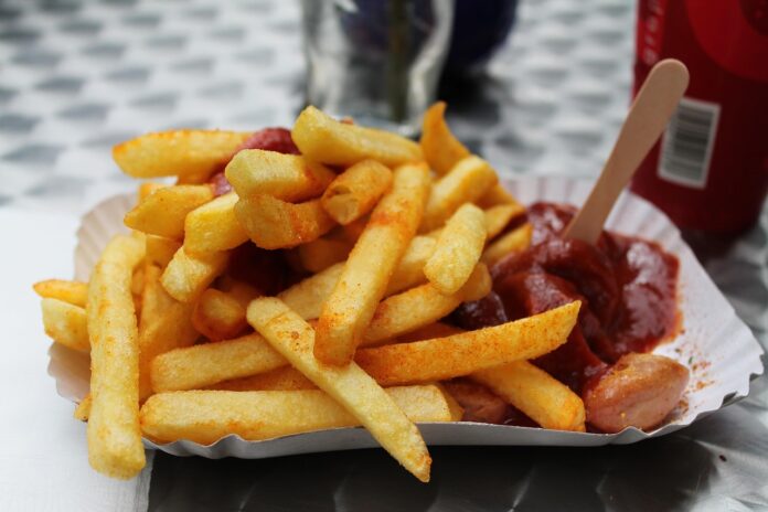 kgberlin-french-fries-250641_1280