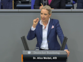 Standing Ovations für Alice Weidel nach Bundestagsrede gegen Merz