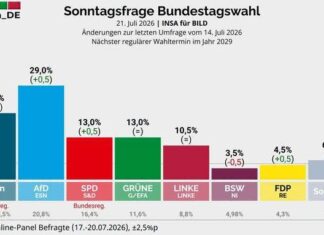 Vorsprung auf 8,5 Prozent ausgebaut: AfD setzt sich weiter von der Union ab