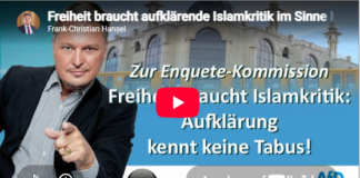 „Brandmauer“-Fiasko in Berlin: Kommission gegen Ausgrenzung scheitert an der Ausgrenzung