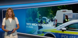 Fluchthelferin des Stade-Killers arbeitete für öffentlich finanzierte Vielfalts-NGO