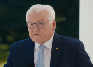 „Überparteilichkeit reicht nicht mehr“ – Steinmeier demontiert sein eigenes Amt