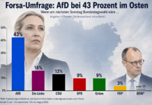 AfD dreimal so stark wie die CDU: Neue Umfrage erschüttert Berlin