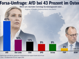 AfD dreimal so stark wie die CDU: Neue Umfrage erschüttert Berlin