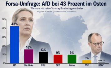 AfD dreimal so stark wie die CDU: Neue Umfrage erschüttert Berlin