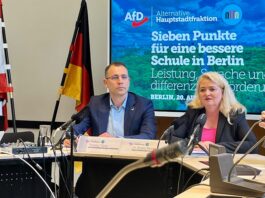 AfD will Berlins Schulen wieder vom Kopf auf die Füße stellen