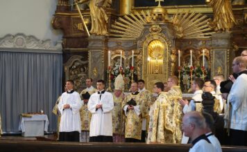 Treuer Hirte: Erzbischof Wolfgang Haas wird 78