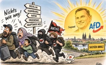 Sachsen-Anhalt: AfD wirkt schon vor der Regierungsübernahme