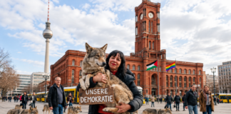 Die mit dem Wolf tanzt