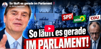 Im Bundestag liegen die Nerven blank: Baumann berichtet von Tumulten bei Weidel-Rede