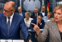 Merz’ politischer Meltdown: Dieser Kanzler ist nur noch Getriebener der AfD