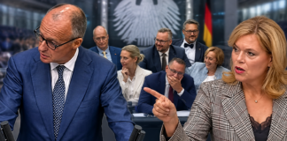 Merz’ politischer Meltdown: Dieser Kanzler ist nur noch Getriebener der AfD