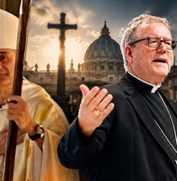 Kardinäle gegen den Missionsbefehl Christi: Bischof Barron platzt der Kragen