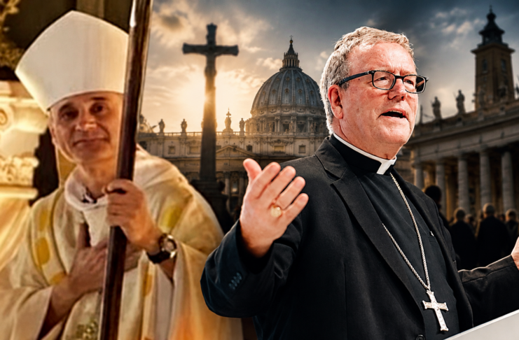 Kardinäle gegen den Missionsbefehl Christi: Bischof Barron platzt der Kragen