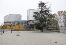25 Millionen verweigert: AfD-Stiftung zieht gegen Deutschland nach Straßburg