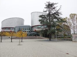 25 Millionen verweigert: AfD-Stiftung zieht gegen Deutschland nach Straßburg