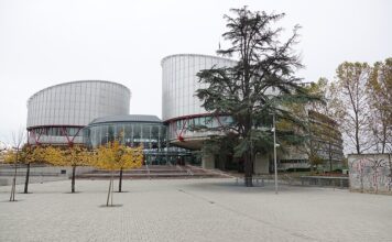 25 Millionen verweigert: AfD-Stiftung zieht gegen Deutschland nach Straßburg