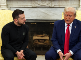 Trump lässt Selenskyj fallen: „Die Ukraine braucht einen neuen Präsidenten!“