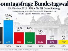 AfD erstmals bei 30 Prozent – Union stürzt auf 18 Prozent ab